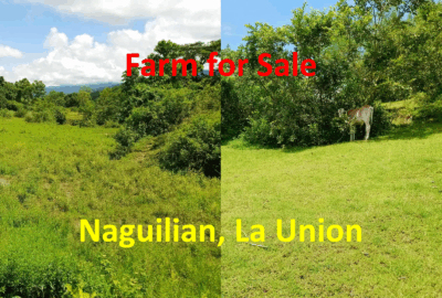 Farm for Sale: Naguilian, La Union