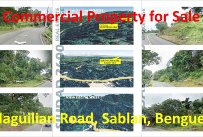 Farm for Sale: Sablan